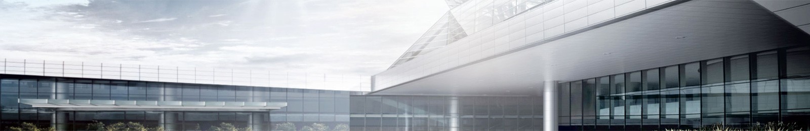 BSports网站登录 